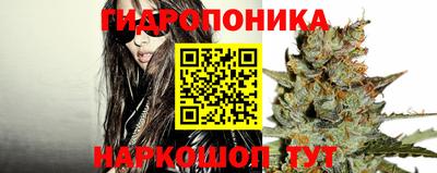 PSILOCYBIN Ангарск