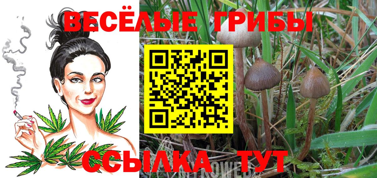 Галлюциногенные грибы мухоморы Гудермес