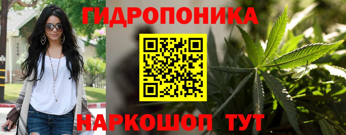 МАРИХУАНА конопля  Каннабис ГИДРОПОН  Вход с VPN  Гудермес  Конопля конопля 